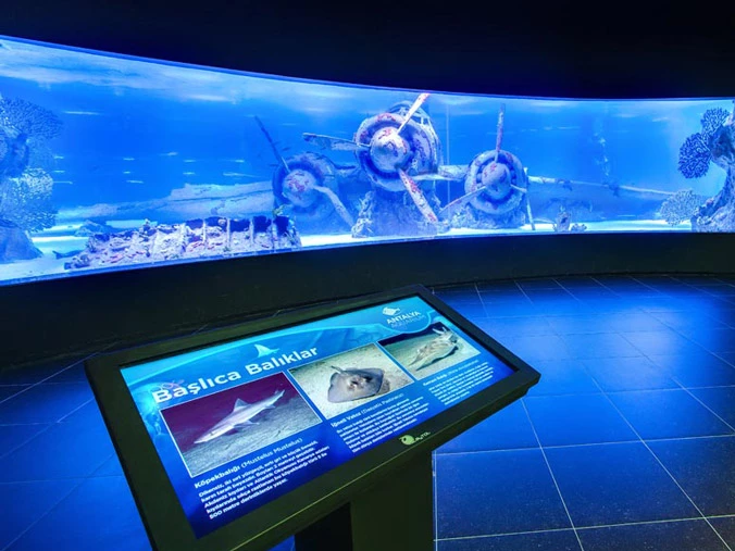 Анталийский аквариум Билет - 9
